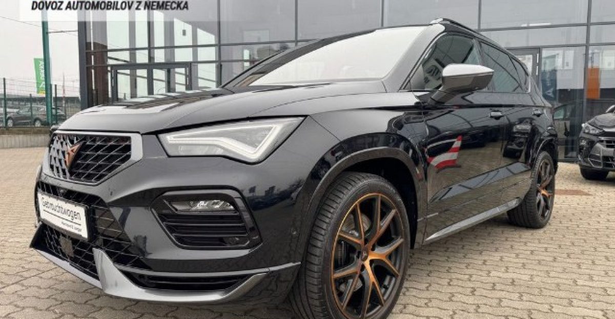 6238095-1-1-0-nc-640